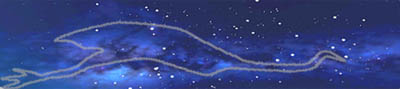 The emu in the sky. Credit: Barnaby and Ray Norris