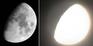 When overexposed, the Moon seems to glow brilliantly. Credit: Bob King/Sky and Telescope
