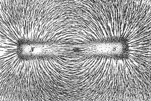 Iron filings alined with a magnet's field. Credit: Newton Henry Black, Harvey N. Davis .