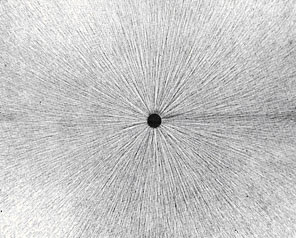 Small threads suspended in oil align with the electric field of a charge. Credit: NASA.